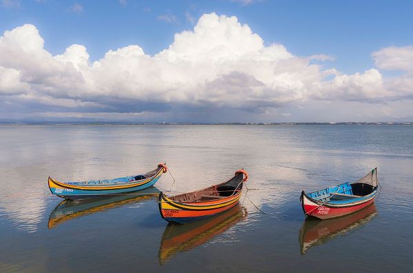 Jaynes Gallery 아티스트의 Europe-Portugal-Aveiro Lagoon-Traditional fishing boats moored in water작품입니다.
